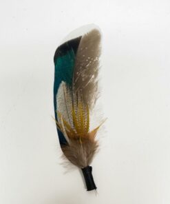 Blue Hat Feather